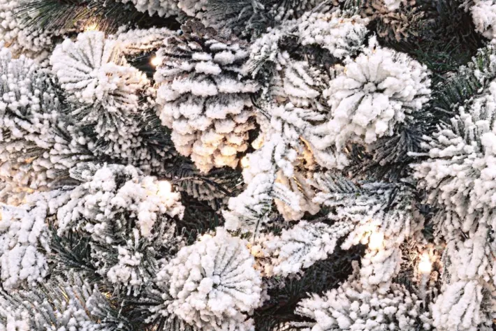 Bizzotto Alberi Natale Con Luci>ALBERO ARVES INNEVATO H210-1936RAMI 330L
