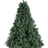 Bizzotto Alberi Natale Tradizionali>ALBERO BADIA H210-2154RAMI