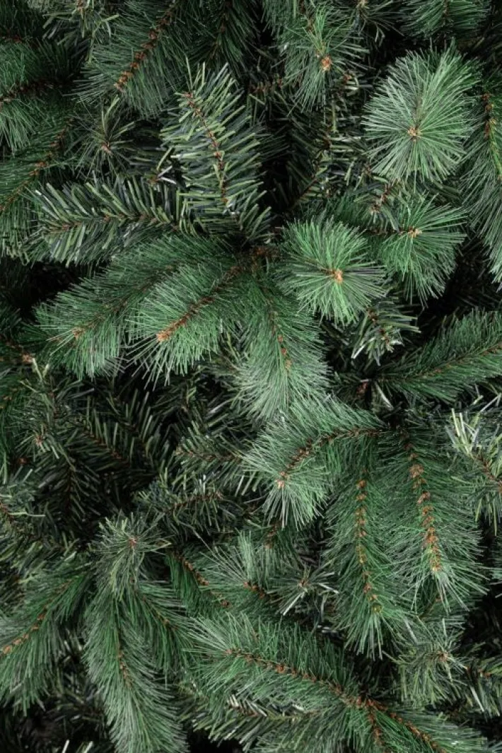 Bizzotto Alberi Natale Tradizionali>ALBERO BADIA H210-2154RAMI