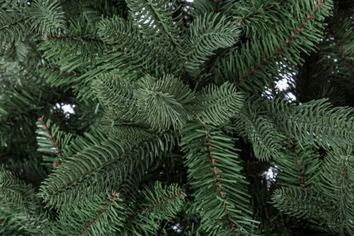 Bizzotto Alberi Natale Premium>ALBERO FREJUS H180-1623RAMI