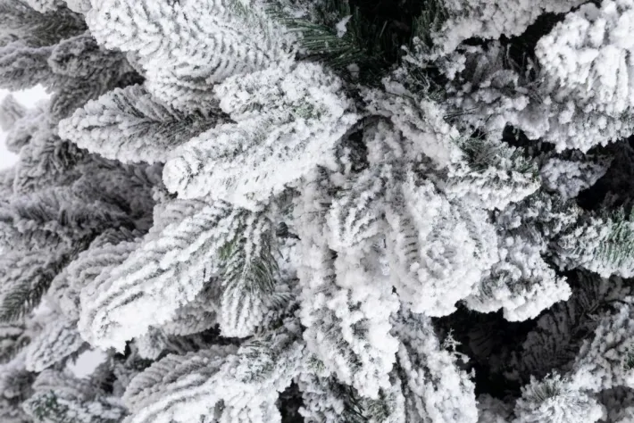 Bizzotto Alberi Innevati>ALBERO FREJUS INNEVATO H180-1623RAMI
