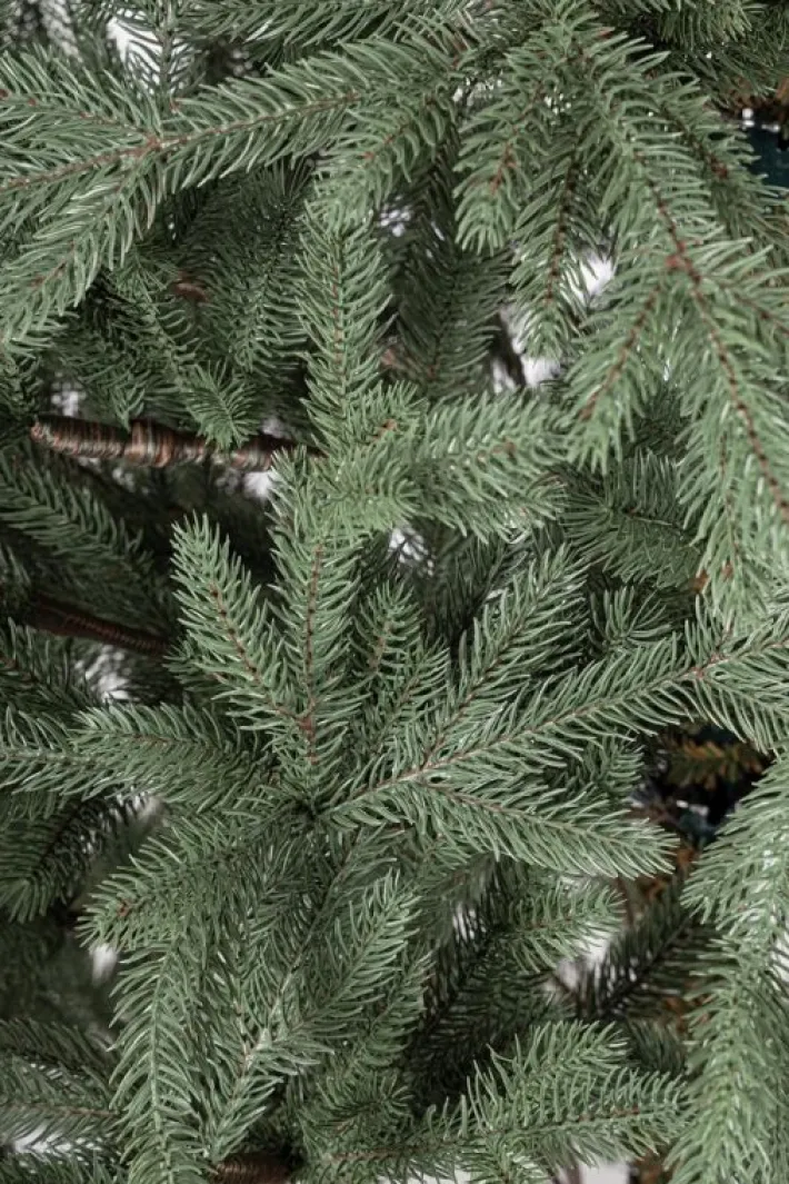 Bizzotto Alberi Natale Premium>ALBERO MUIR H240-4965RAMI