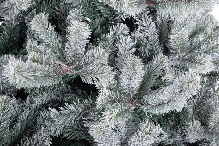 Bizzotto Alberi Natale Premium>ALBERO SERRONE GHIACCIATO H180-1068RAMI