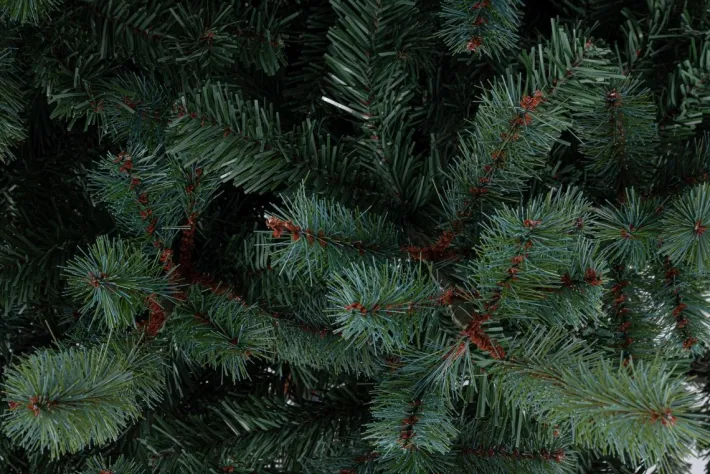 Bizzotto Alberi Natale Premium>ALBERO SERRONE GLAUCO H180-1068RAMI