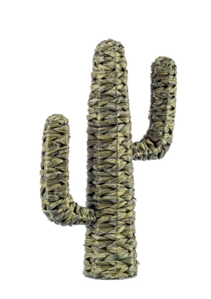 Bizzotto Oggettistica>CACTUS SAGUARO VERDE H59
