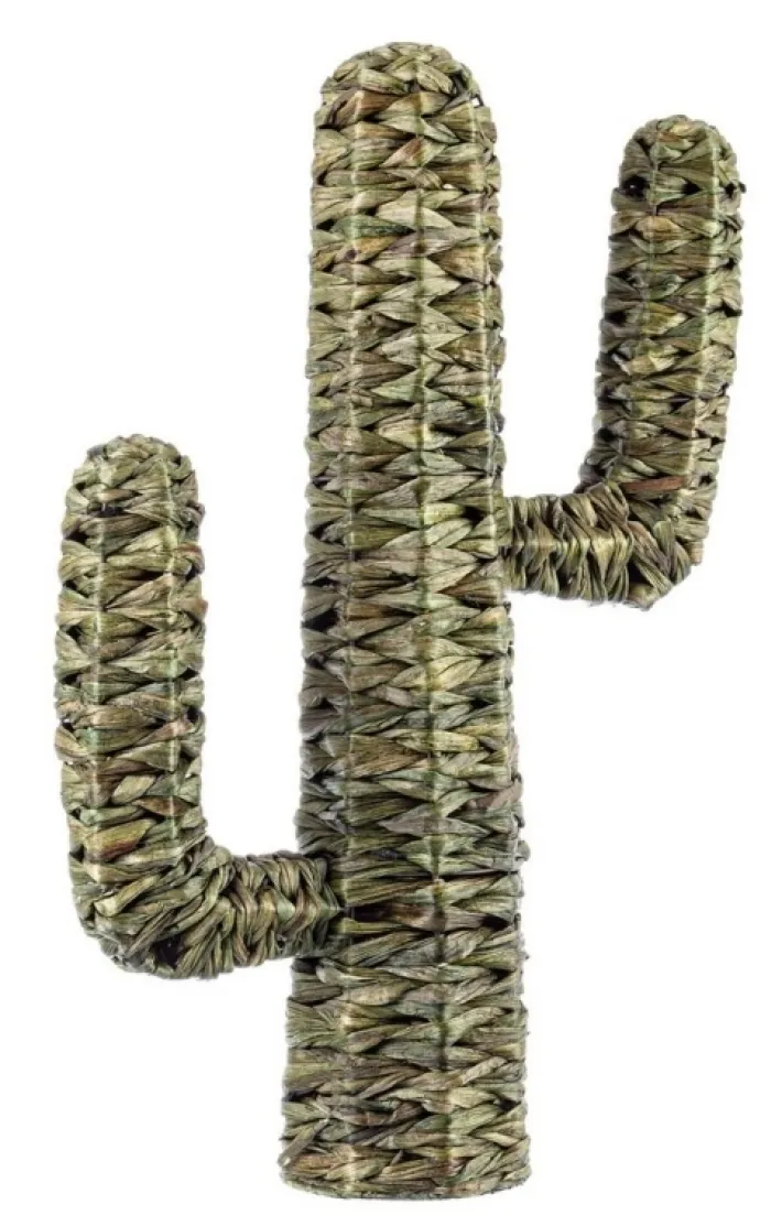 Bizzotto Oggettistica>CACTUS SAGUARO VERDE H73