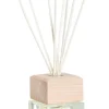 Bizzotto Profumatori>DIFFUSORE FRAGRANZA FIORI E AGRUMI 200ML
