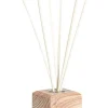 Bizzotto Profumatori>DIFFUSORE FRAGRANZA THE' BIANCO E ORCHIDEA 100ML