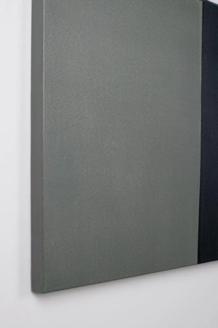 Bizzotto Quadri E Stampe>DIPINTO NASKA 515 140X140
