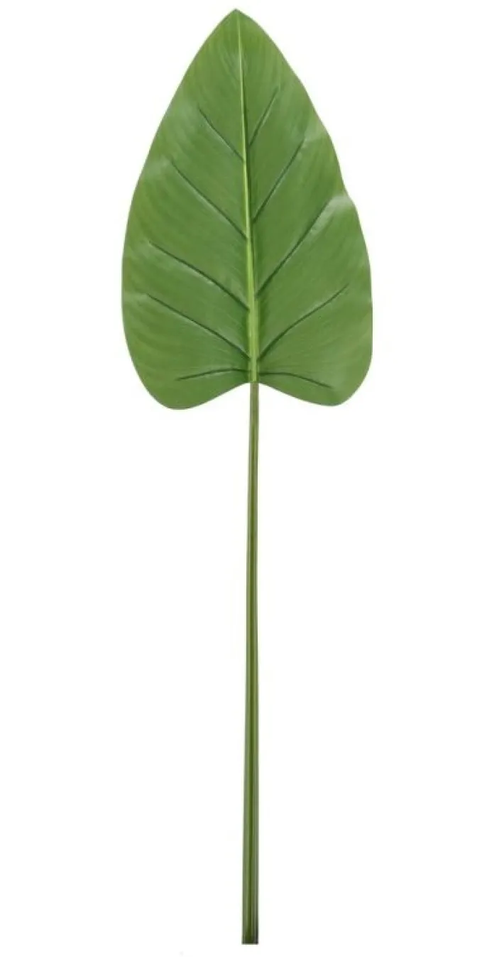 Bizzotto Rami E Corone>FOGLIA CALLA TOMMY VERDE H115CM