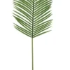 Bizzotto Rami E Corone>FOGLIA PALMA PHOENIX VERDE H140CM