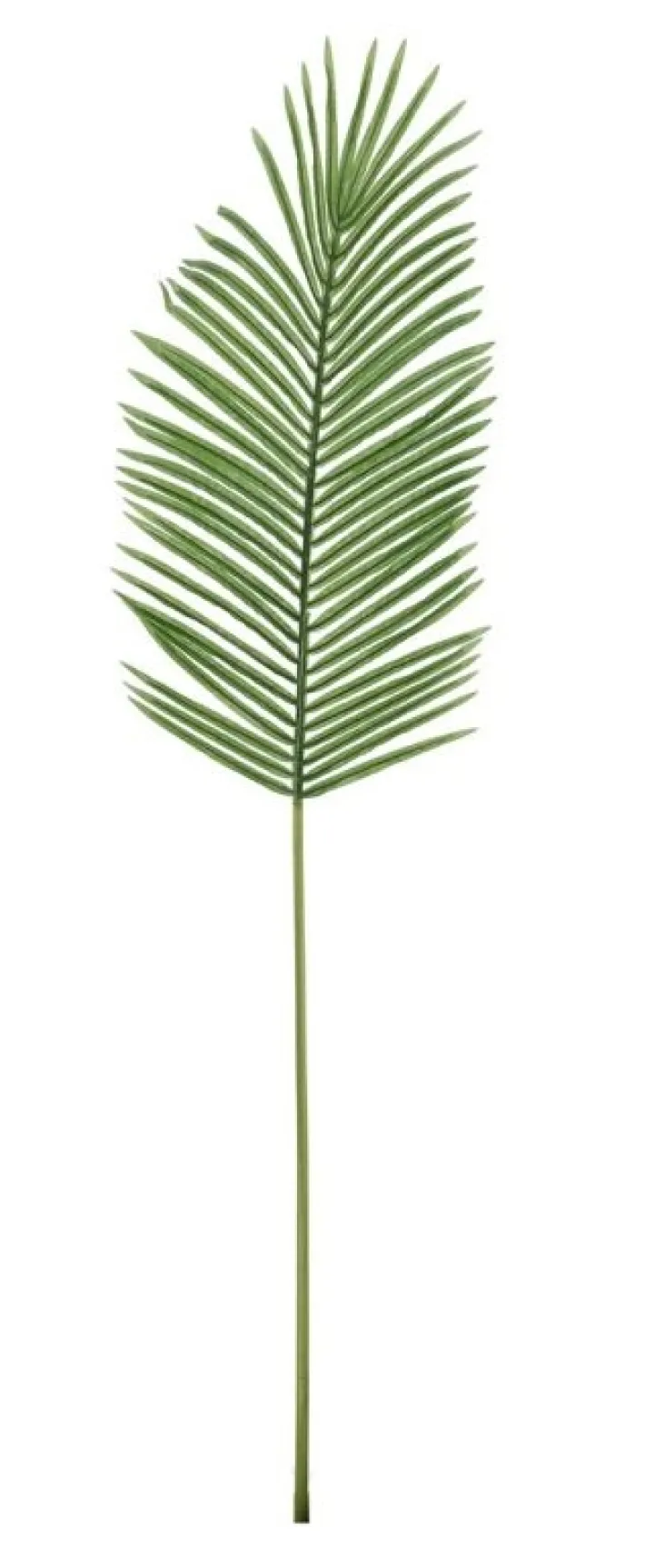 Bizzotto Rami E Corone>FOGLIA PALMA PHOENIX VERDE H140CM