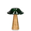 Bizzotto Oggettistica>FUNGO JASPER STAND VERDE-NAT H15