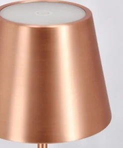 Bizzotto Illuminazione>LAMPADA TAV. LED ETNA BRONZO H38