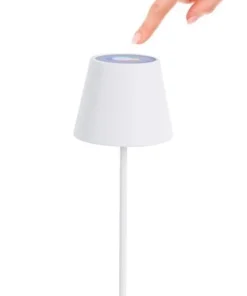 Bizzotto Illuminazione><noscript><img width=