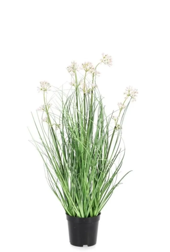 Bizzotto Piante Artificiali>PIANTA ALLIUM C-VASO H60