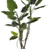 Bizzotto Piante Artificiali>PIANTA ALOCASIA C-VASO 26FOGLIE H200