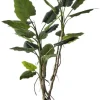 Bizzotto Piante Artificiali>PIANTA ALOCASIA C-VASO H150