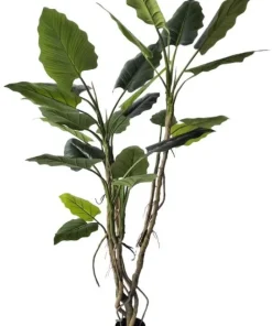 Bizzotto Piante Artificiali>PIANTA ALOCASIA C-VASO H150