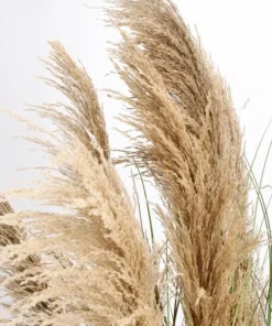 Bizzotto Piante Artificiali>PIANTA AUSTORDERIA PAMPAS C-VASO H170
