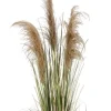 Bizzotto Piante Artificiali>PIANTA AUSTORDERIA PAMPAS C-VASO H145