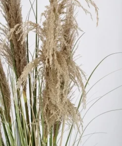 Bizzotto Piante Artificiali>PIANTA AUSTORDERIA PAMPAS C-VASO H145