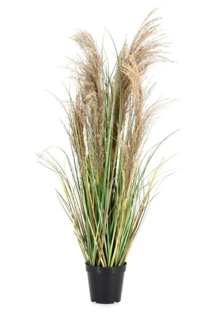 Bizzotto Piante Artificiali>PIANTA AUSTORDERIA PAMPAS C-VASO H90