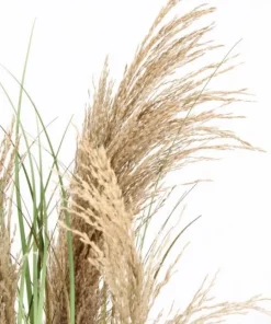 Bizzotto Piante Artificiali>PIANTA AUSTORDERIA PAMPAS C-VASO H90