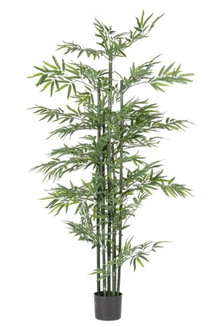 Bizzotto Piante Artificiali>PIANTA BAMBOO C-VASO H190