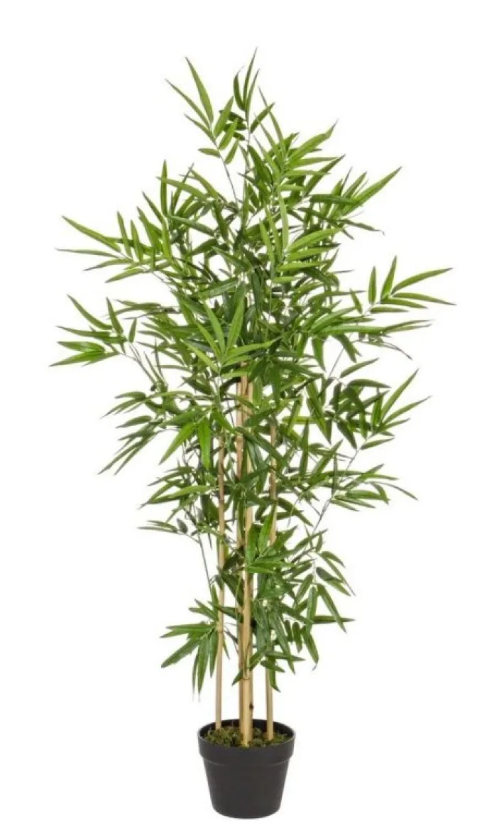 Bizzotto Piante Artificiali>PIANTA BAMBOO C-VASO H130CM