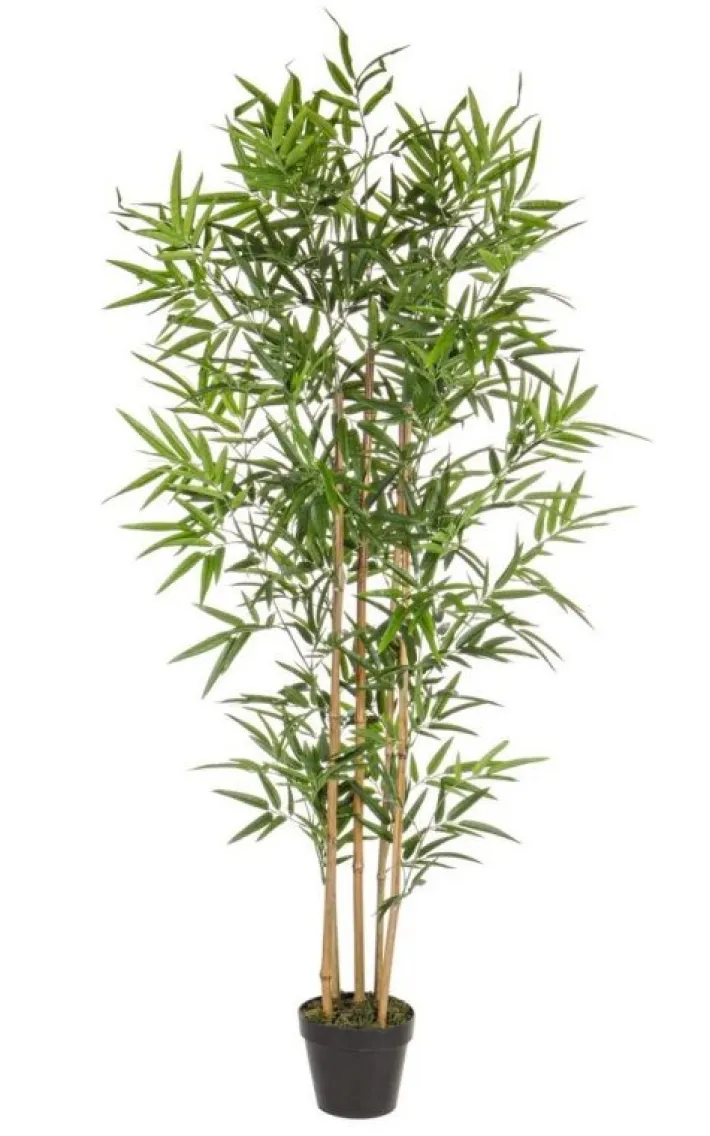 Bizzotto Piante Artificiali>PIANTA BAMBOO C-VASO H155CM