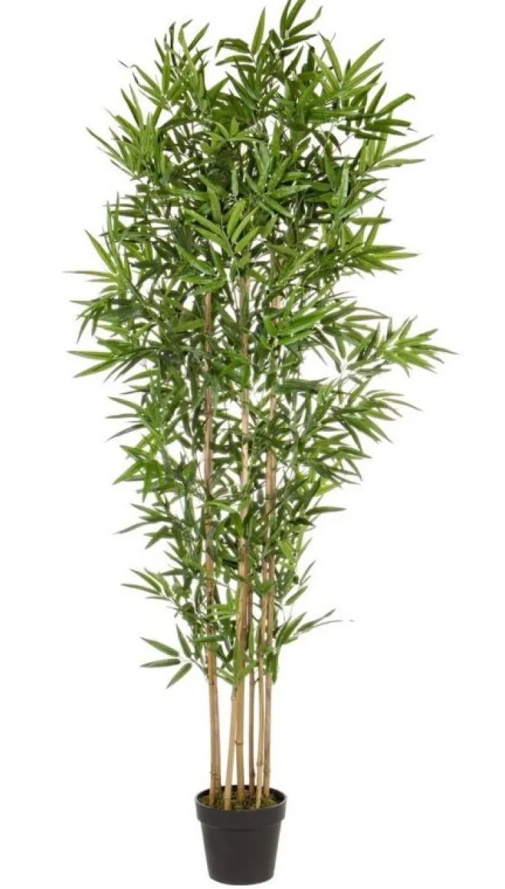 Bizzotto Piante Artificiali>PIANTA BAMBOO C-VASO H185CM