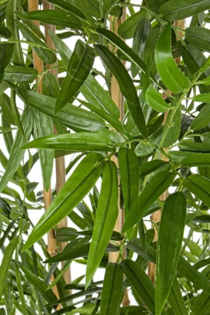 Bizzotto Piante Artificiali>PIANTA BAMBOO C-VASO H185CM