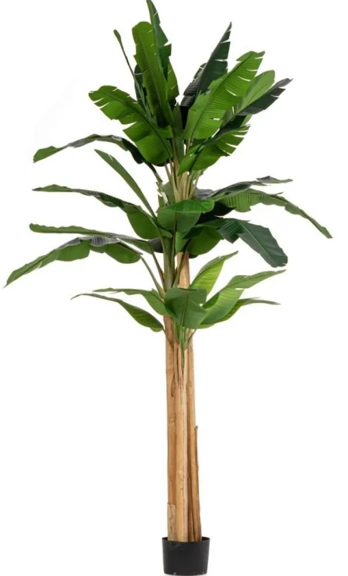 Bizzotto Piante Artificiali>PIANTA BANANO C-VASO 30FOGLIE H320