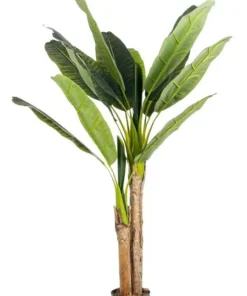 Bizzotto Piante Artificiali>PIANTA BANANO C-VASO 14FOGLIE H135