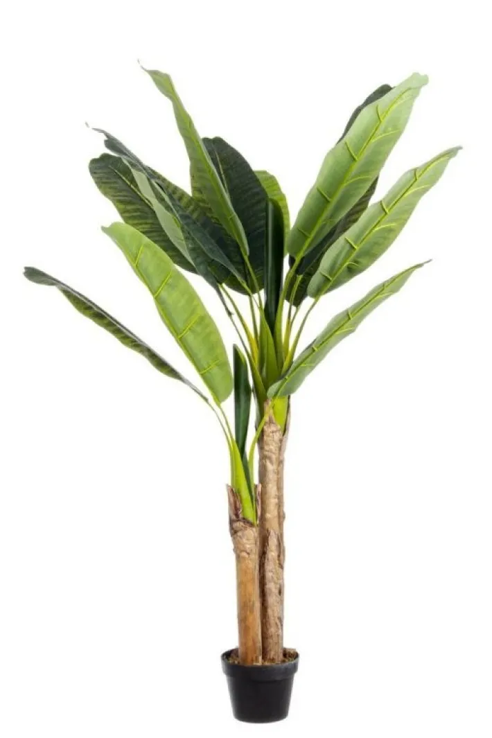 Bizzotto Piante Artificiali>PIANTA BANANO C-VASO 14FOGLIE H135