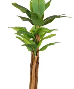 Bizzotto Piante Artificiali>PIANTA BANANO C-VASO 22FOGLIE H240