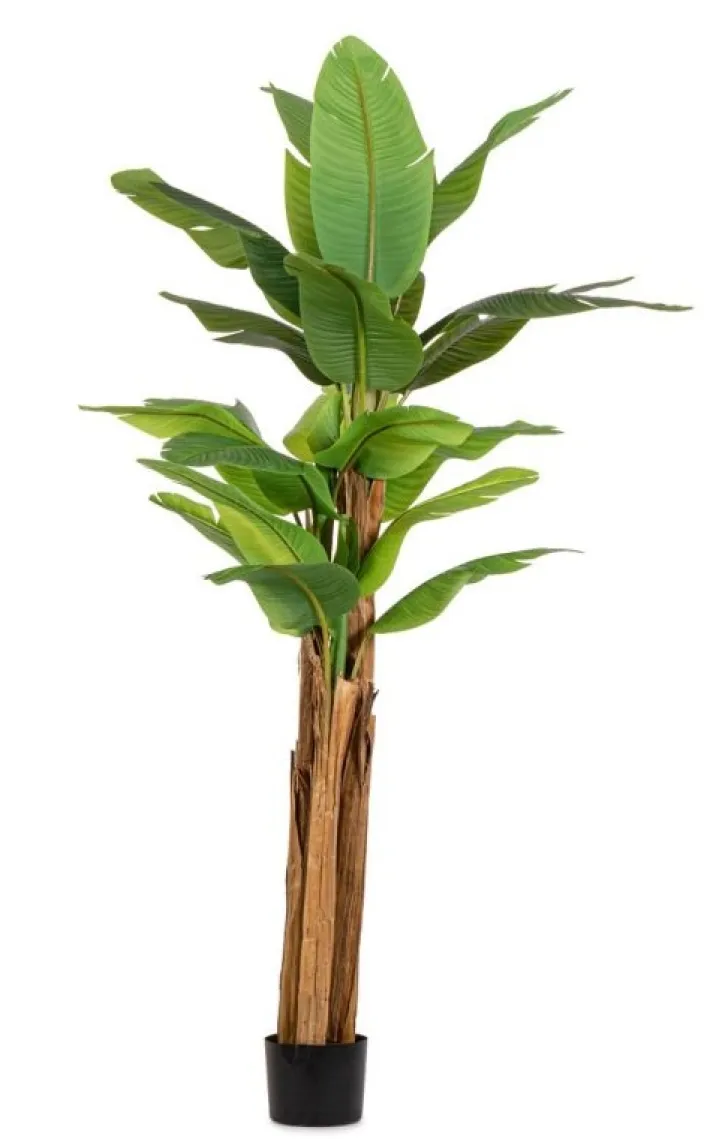 Bizzotto Piante Artificiali>PIANTA BANANO C-VASO 22FOGLIE H240