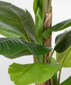 Bizzotto Piante Artificiali>PIANTA BANANO C-VASO 20FOGLIE H200