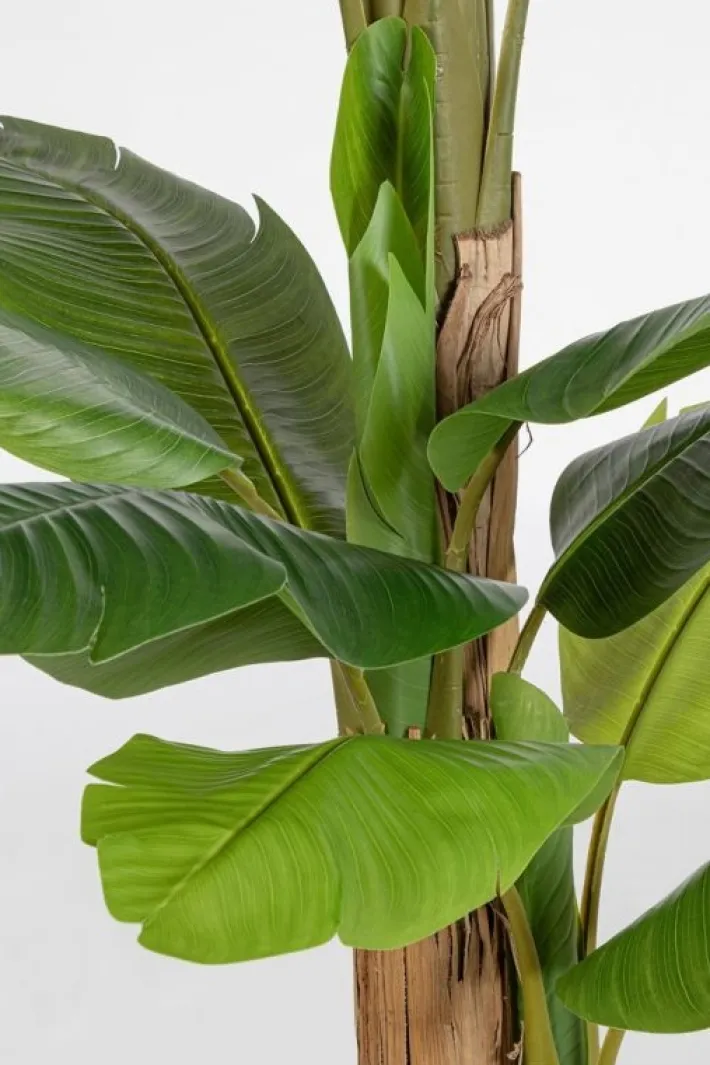 Bizzotto Piante Artificiali>PIANTA BANANO C-VASO 20FOGLIE H200
