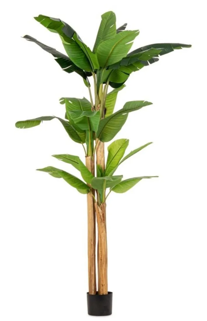 Bizzotto Piante Artificiali>PIANTA BANANO C-VASO 24FOGLIE H280