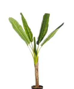 Bizzotto Piante Artificiali>PIANTA BANANO C-VASO 7FOGLIE H113