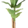 Bizzotto Piante Artificiali>PIANTA BANANO C-VASO 13FOGLIE H150
