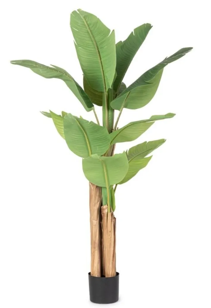 Bizzotto Piante Artificiali>PIANTA BANANO C-VASO 13FOGLIE H150