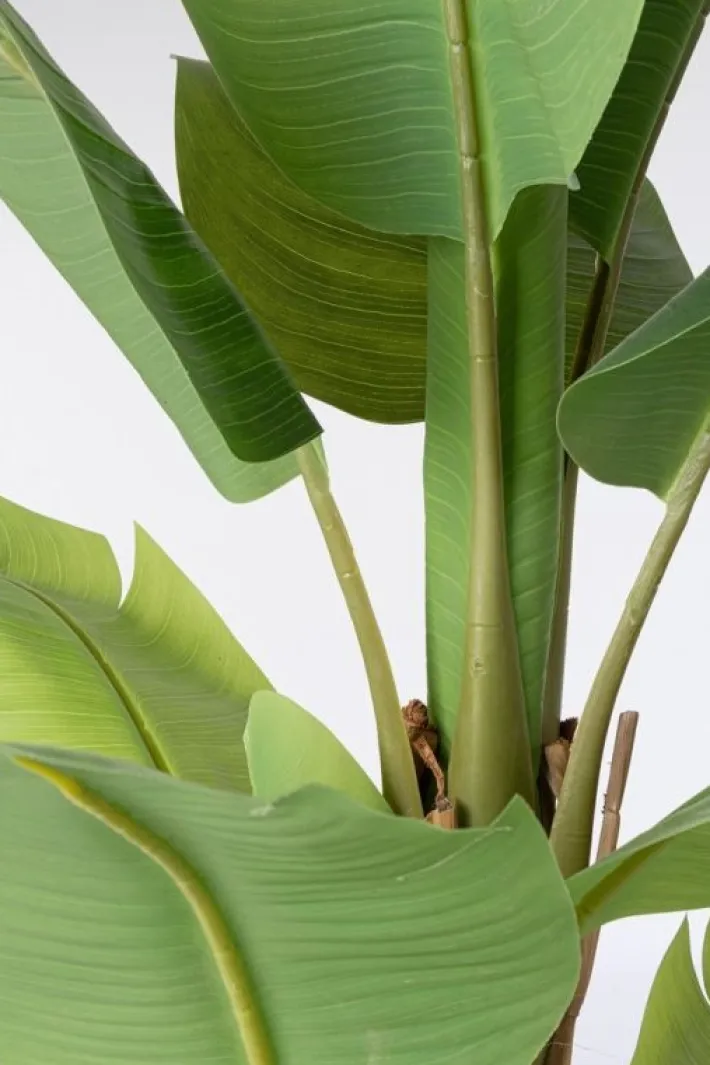 Bizzotto Piante Artificiali>PIANTA BANANO C-VASO 13FOGLIE H150