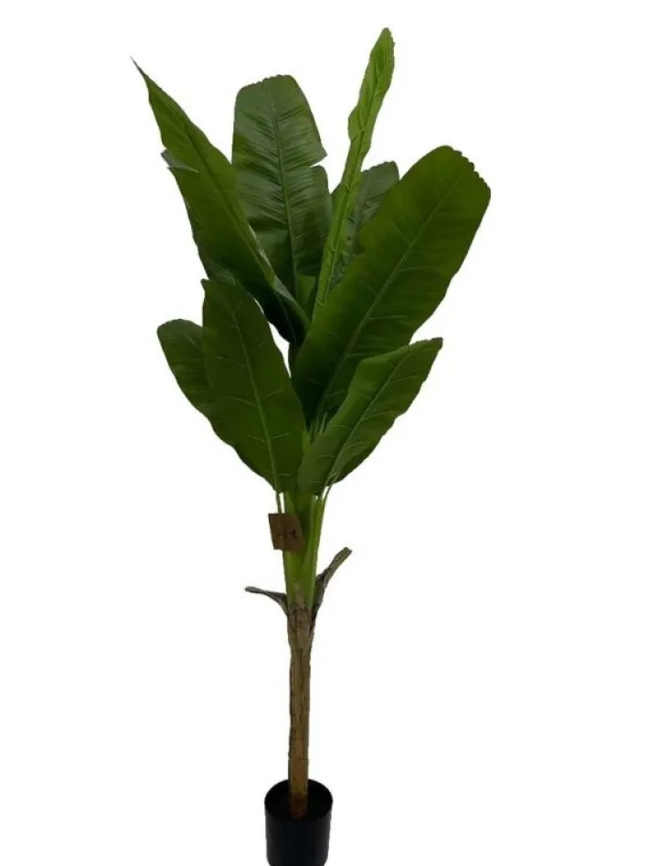 Bizzotto Piante Artificiali>PIANTA BANANO C-VASO H210