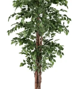 Bizzotto Piante Artificiali>PIANTA BANYAN C-VASO 2480FOGLIE H210