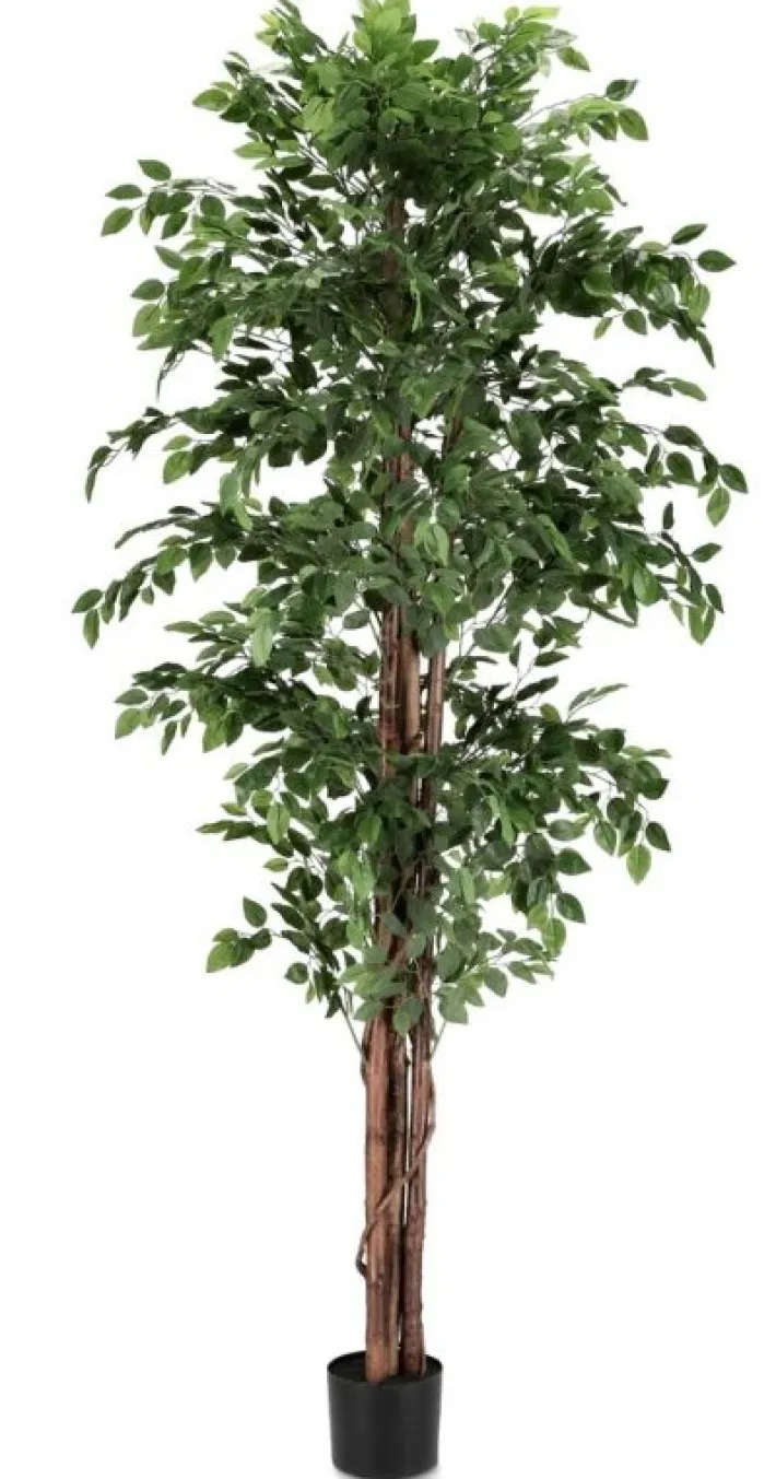 Bizzotto Piante Artificiali>PIANTA BANYAN C-VASO 2480FOGLIE H210
