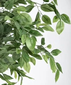 Bizzotto Piante Artificiali>PIANTA BANYAN C-VASO 2480FOGLIE H210