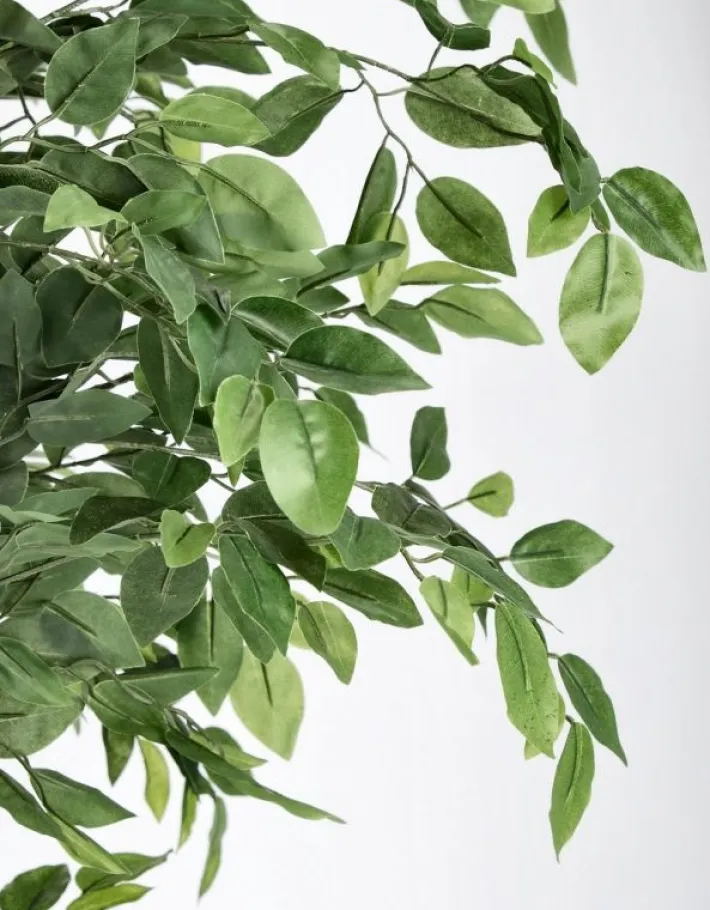 Bizzotto Piante Artificiali>PIANTA BANYAN C-VASO 2480FOGLIE H210